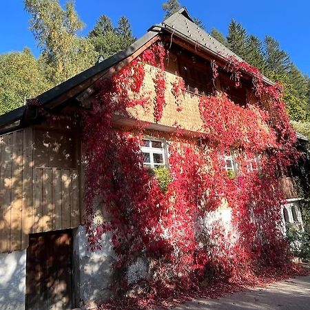 Auszeit Am Kreisbach Lejlighed Triberg im Schwarzwald Eksteriør billede