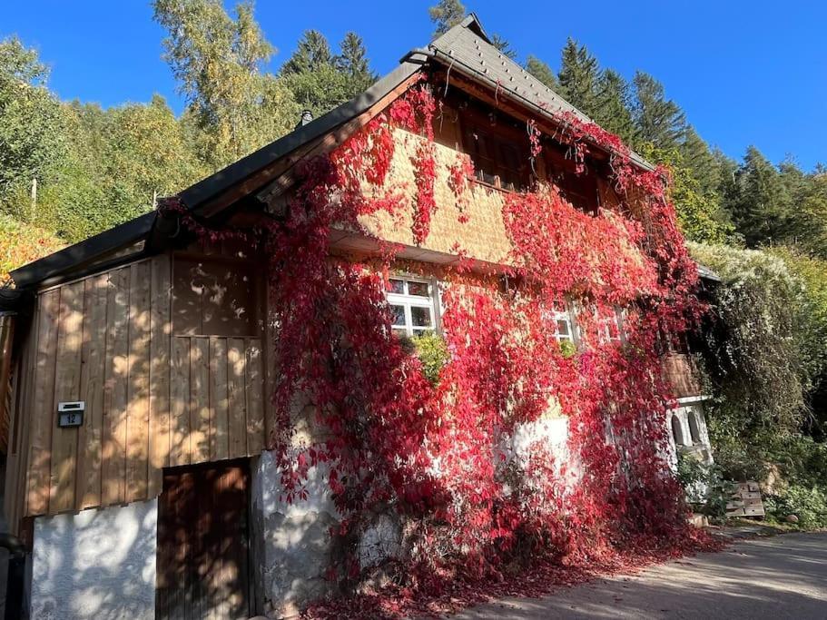 Auszeit Am Kreisbach Lejlighed Triberg im Schwarzwald Eksteriør billede